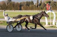 Netta superiorità di Chuky Roc nel 'Firenze'